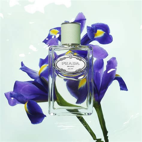 iris prada perfume|Prada iris perfume 100ml.